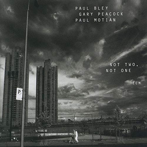 PAUL BLEY, GARY PEACOCK, PAUL MOTIAN-NOT TWO, NOT ONE